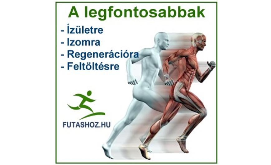 A legfontosabbak